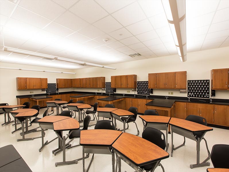 Education and Health Sectors